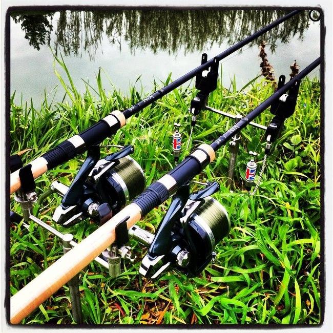 diverse - 6163590414184321713191949368n.jpg